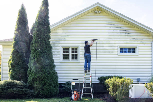 Best Driveway Pressure Washing  in Spring Mount, PA